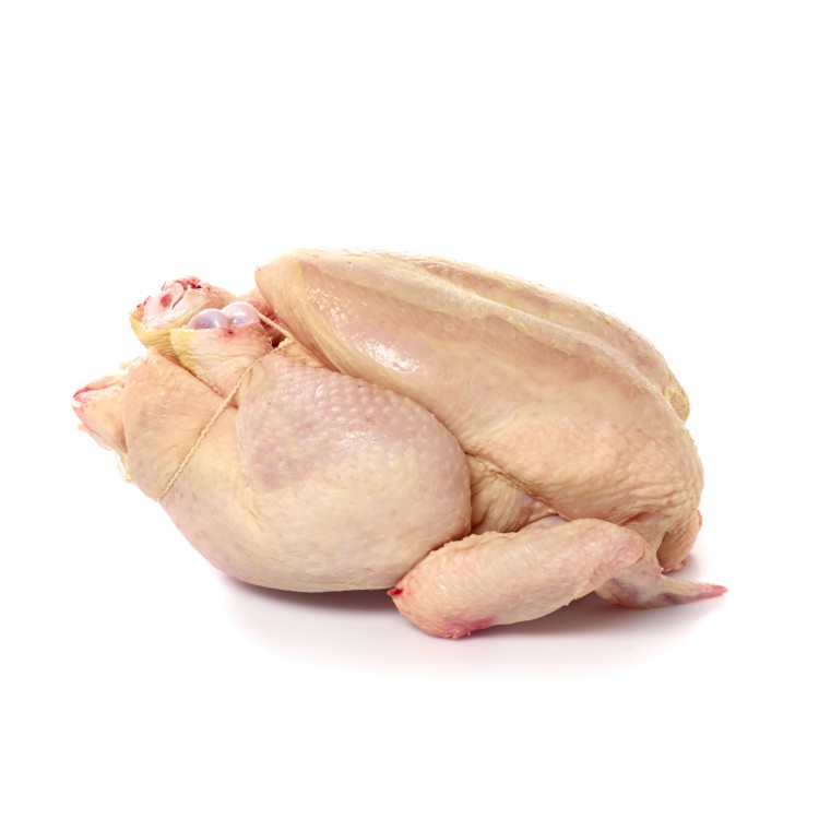 Poulet